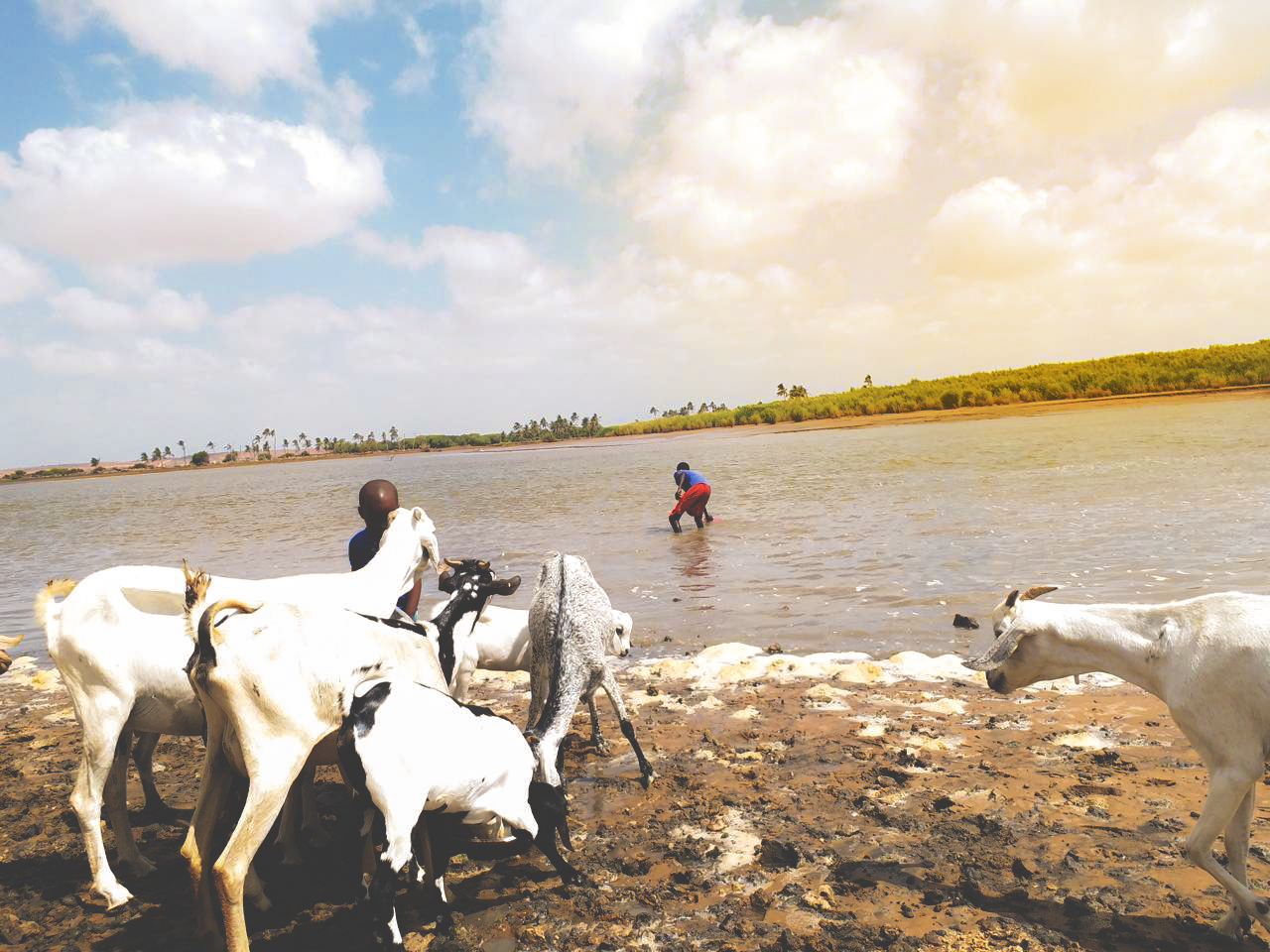 Drought Affected Community