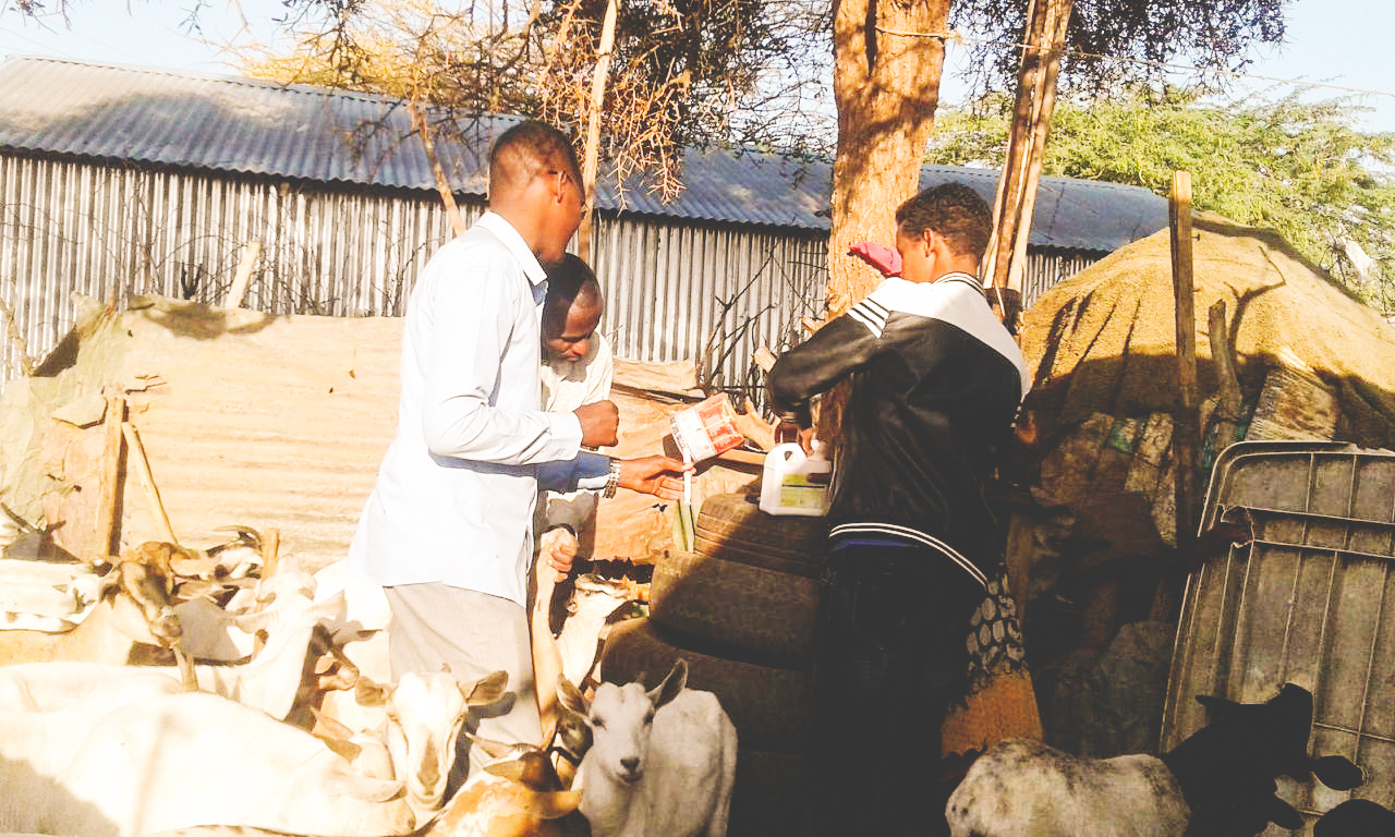 Community Outreach